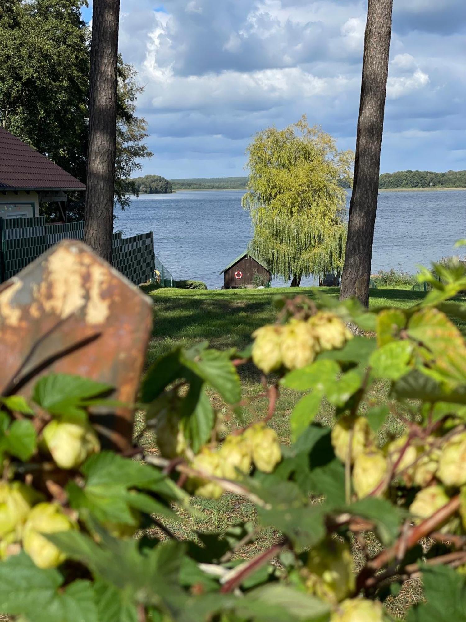 Urlaub Am Plaetlinsee Haus Rike Wustrow  Eksteriør bilde