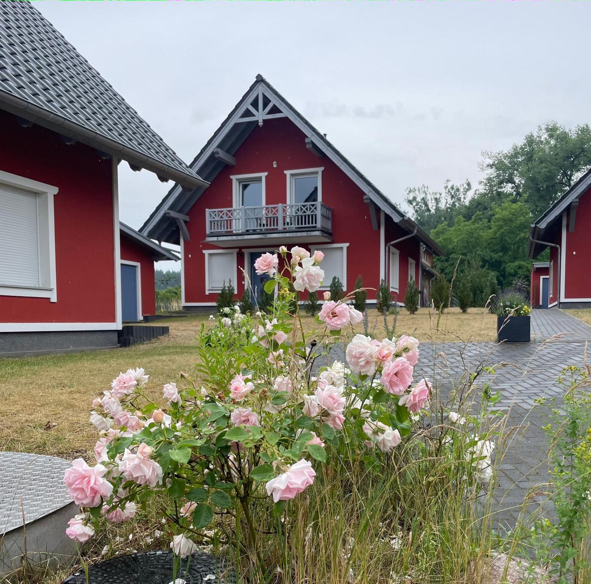 Urlaub Am Plaetlinsee Haus Rike Wustrow  Eksteriør bilde